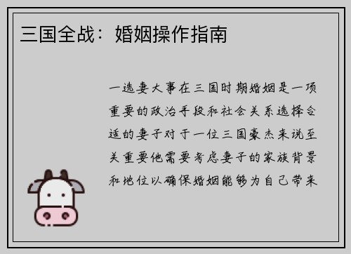 三国全战：婚姻操作指南